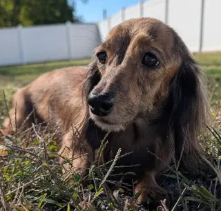 Nina in TN