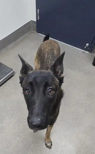 ZEKE