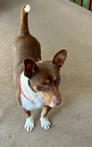 Ruby