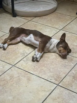 Ruby
