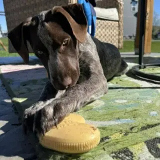 Milo