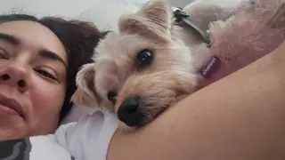 Toby