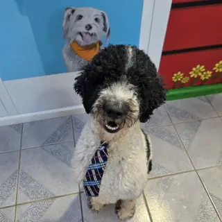 Dave from Accounting