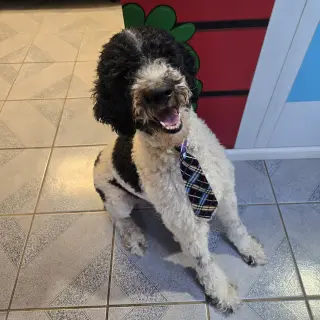 Dave from Accounting