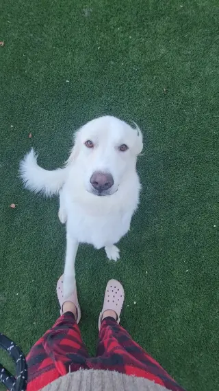 Yuki