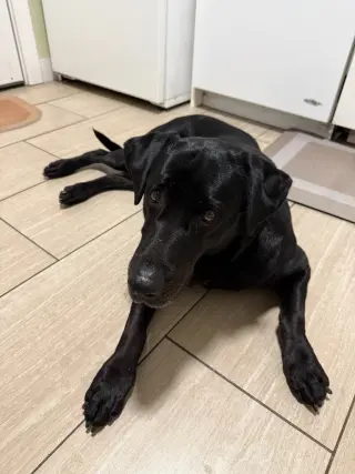 Winnie