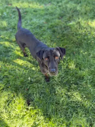 Winnie