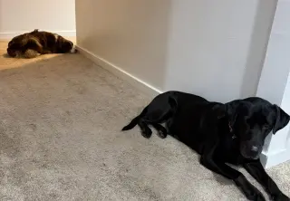 Winnie