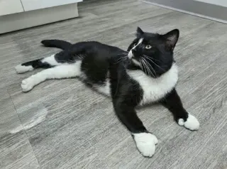 Carl