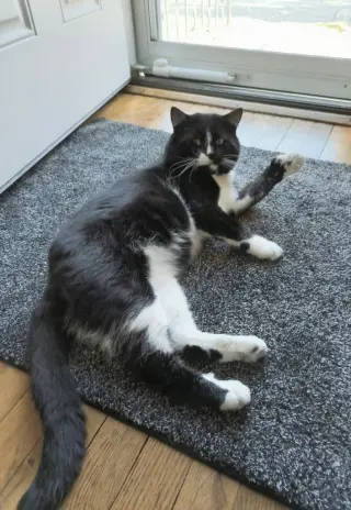 Carl