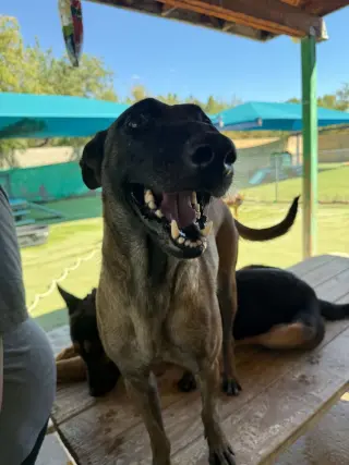 Fabulous "Fab"- located in Texas