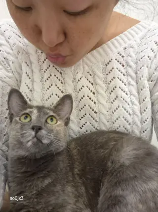 Mitzi