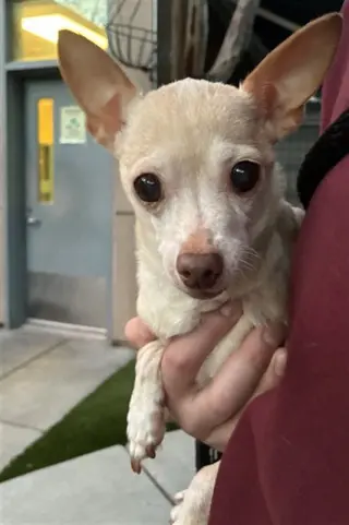 BETTY