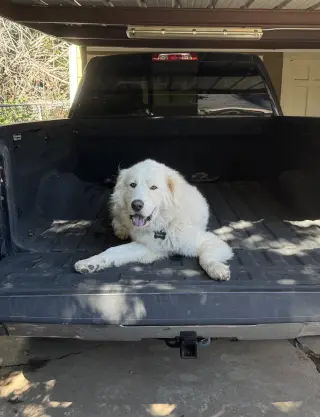 Bailey