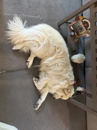 Bailey