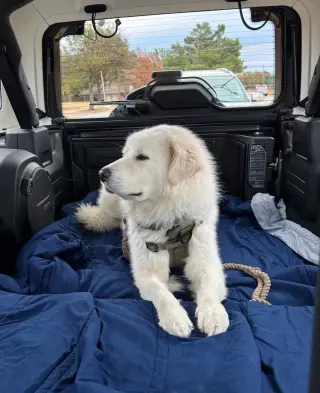 Bailey