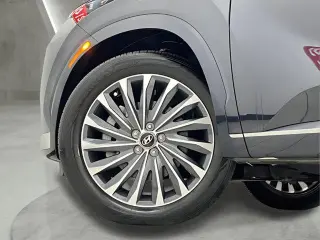Hyundai PALISADE 2024 AWD Calligraphy 4dr SUV