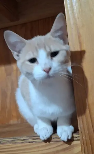 Ted