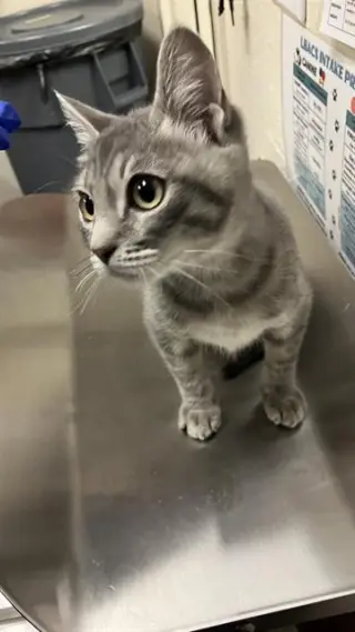 *FELIZ