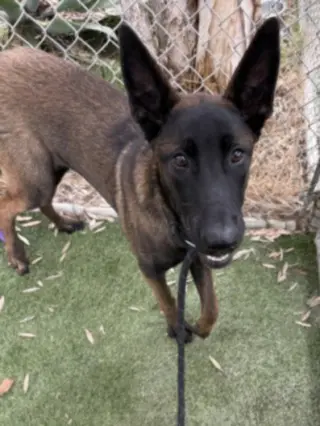 PIA