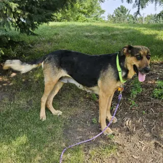 Delilah