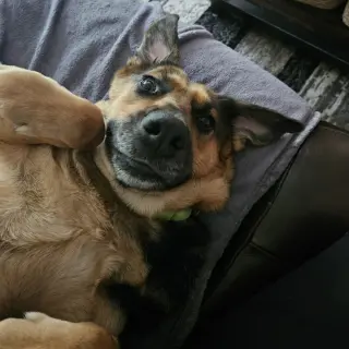 Delilah