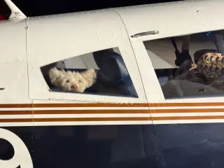 **TITO**