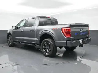 Ford F-150 2023 4x4 XLT 4dr SuperCrew 5.5 ft. SB
