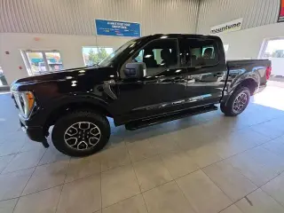 Ford F-150 2023 4x4 XLT 4p SuperCrew 5.5 ft. SB