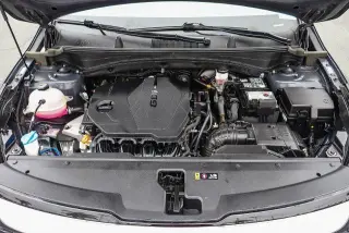 Kia Sportage 2024 EX 4dr SUV