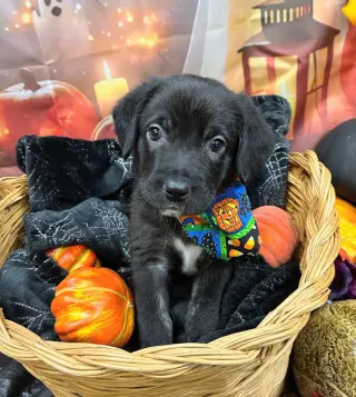 October