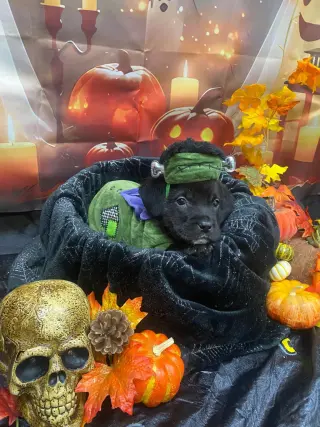 October