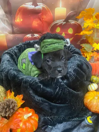 October
