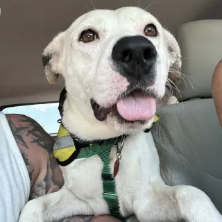 Petey
