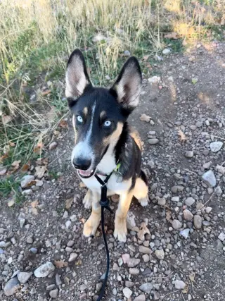 Zelda