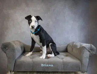Briana