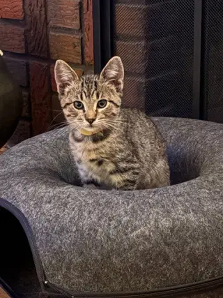Milton
