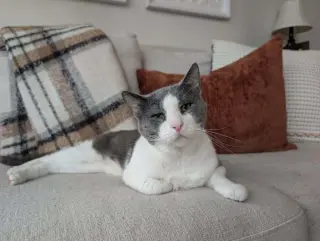 Horatio (Berloiz)