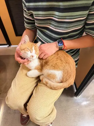 SeÃ±or Chester