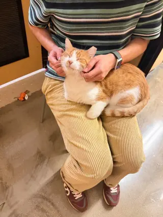 SeÃ±or Chester