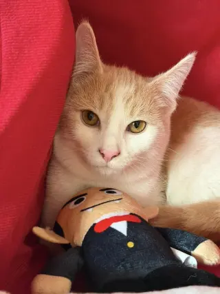 Leo