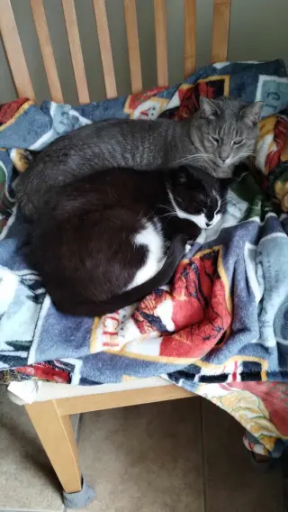 Pixie (aka Mama Pixie)