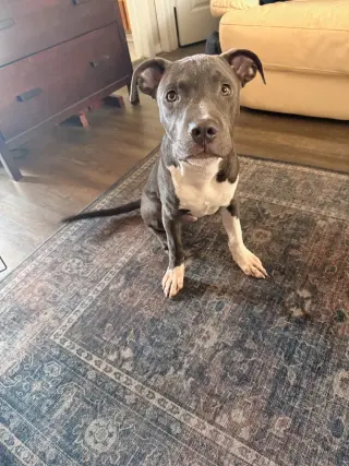 Ace