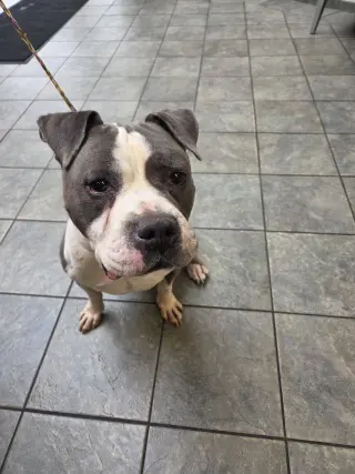 Eeyore