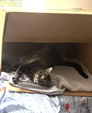 Titus