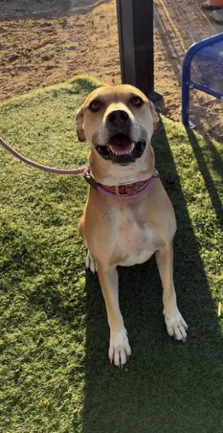MATILDA