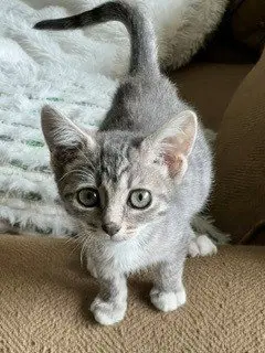 *NYX