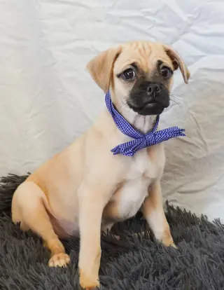 New Kid on the Block