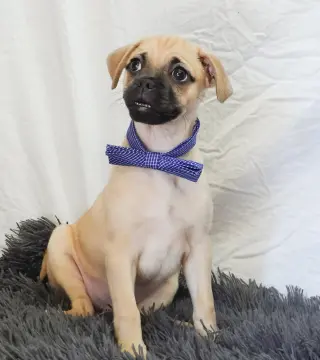 New Kid on the Block