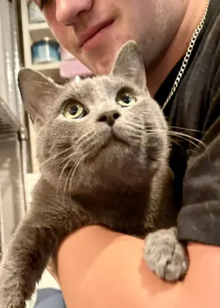 Felix